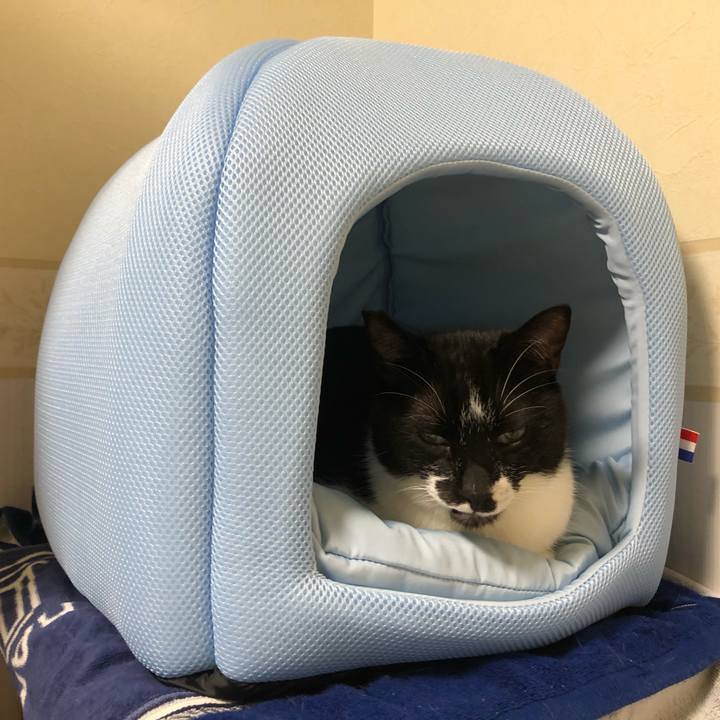 C57900d4 d6cb 4849 b1f4 251d1924ded7 1655498417685