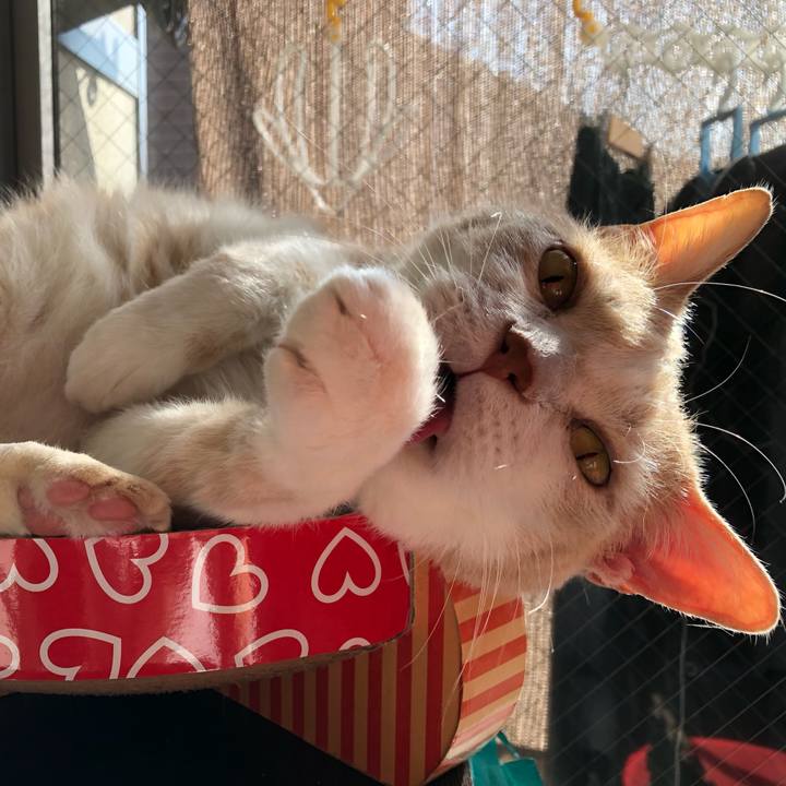 C5790b8e 5ecc 4874 84e5 a698ca385d2d 1551489607930