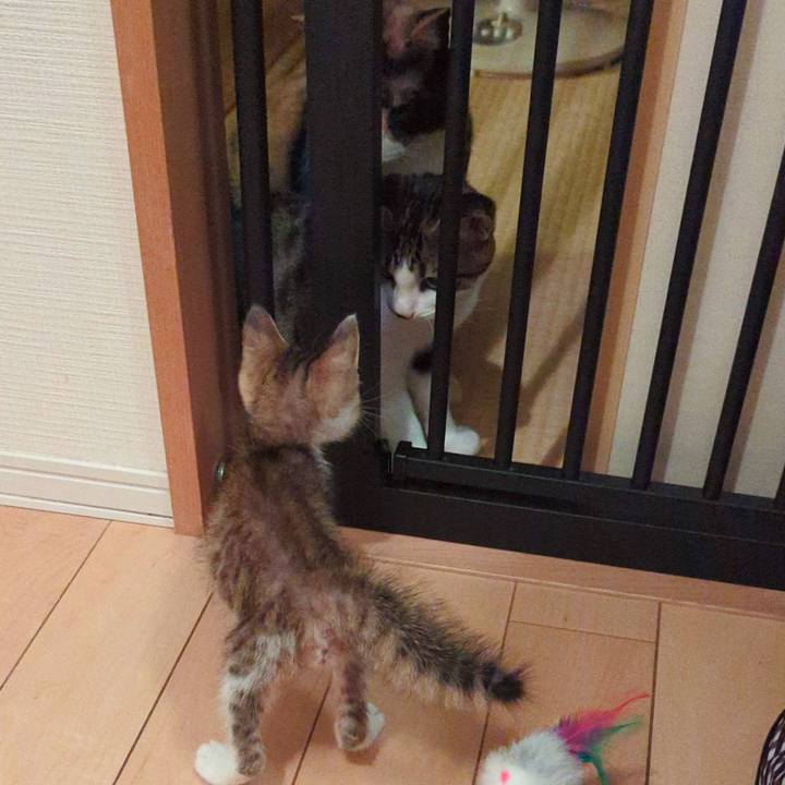 C57928ab d772 4347 80f2 bea1066f7f0e 1727160362151