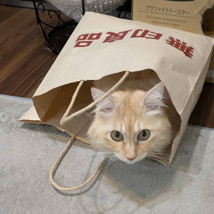 C5792f0a 3ebd 458f 98c5 a5a61e1e8be1 1761548976804