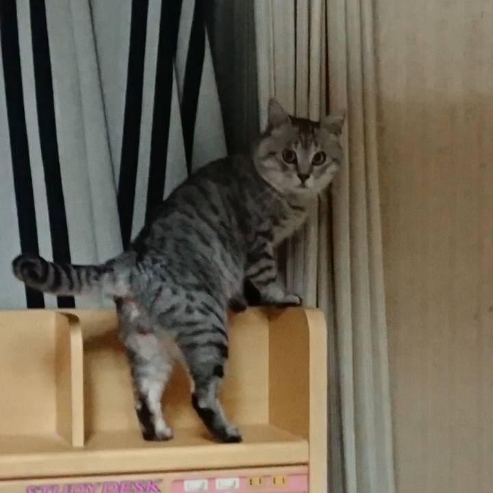 C5793b33 a1c4 48fc 86d3 0fc1e639b7b2 1522678215898