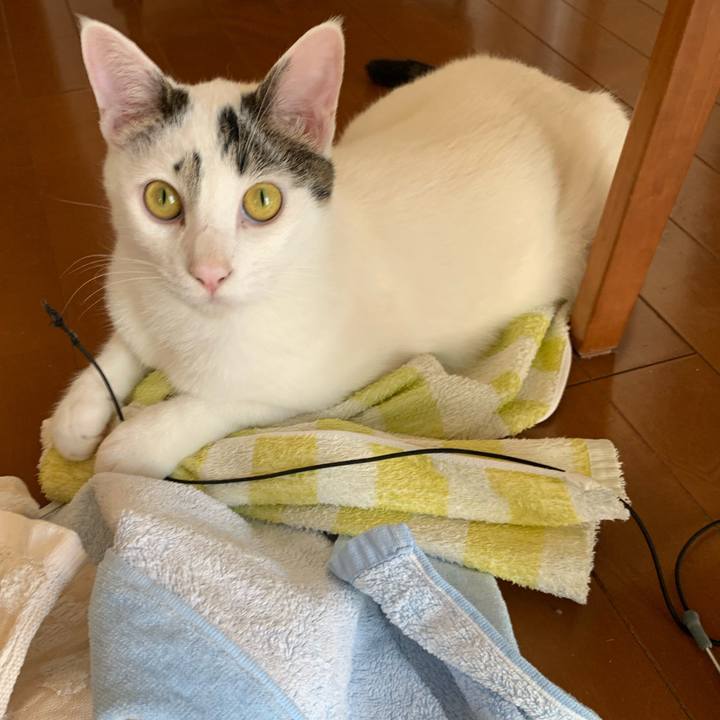 C5793f1f 395c 418b a1a2 4cfd2e6546c5 1623317268115