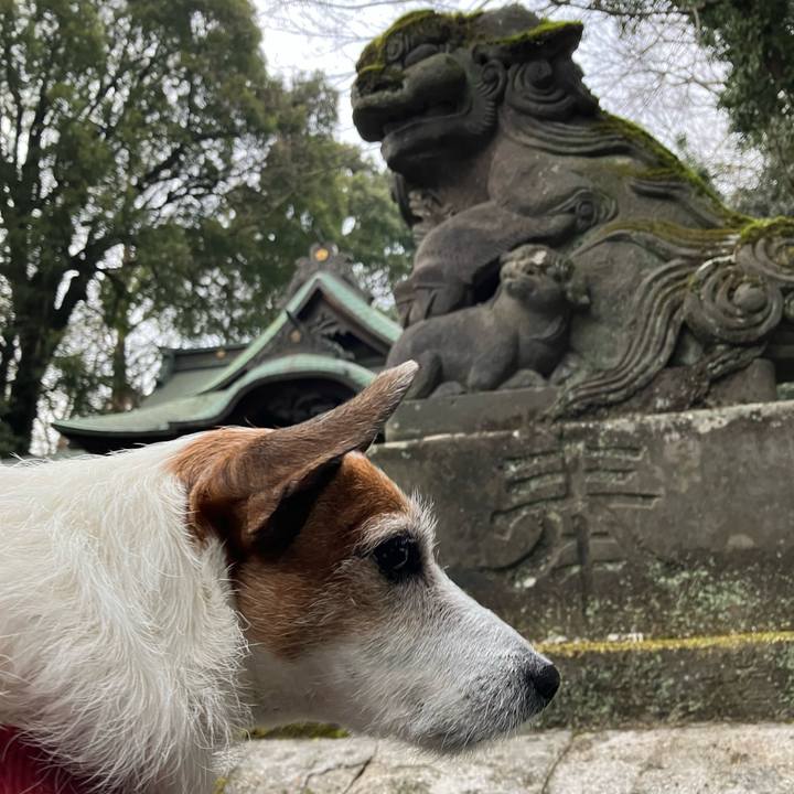 C57987ce 4c23 4139 a462 0bdc477553bf 1673741392171