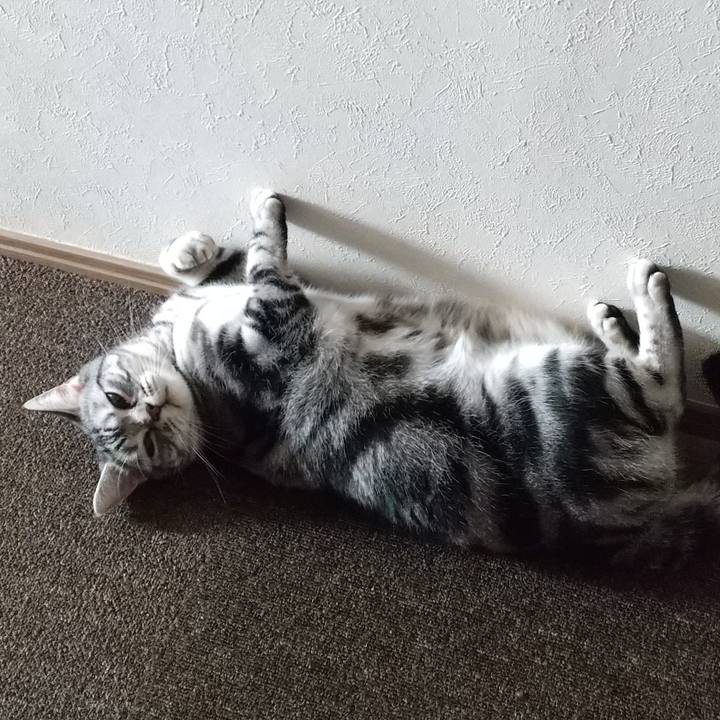 C5799043 d487 4422 8646 00c504c40121 1613957446062