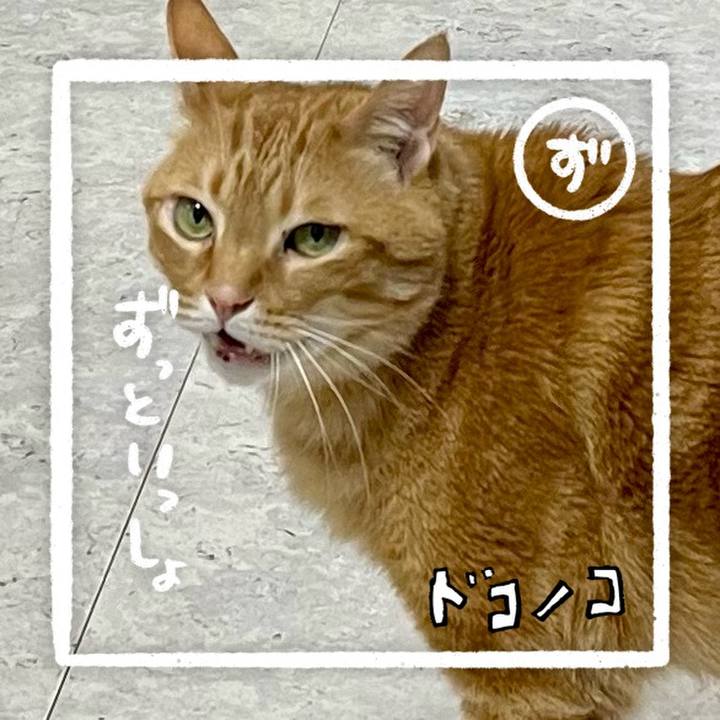 C5799118 ad78 493e 9962 a4806ffb659b 1685954194325