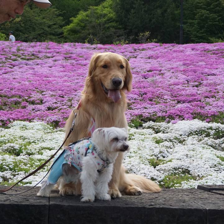 C579a782 1ead 4706 85e4 7bee466093e2 1525095536744