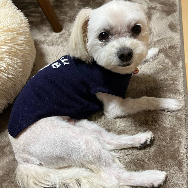 C579e7d2 55a9 4dcf a866 82cfb38e6af6 1673856307423