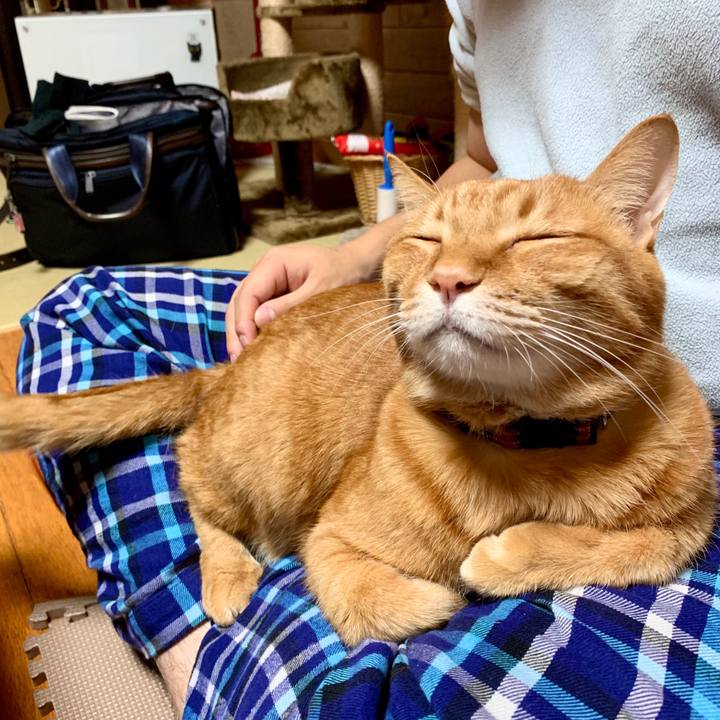 C579eb26 3b13 4fcb 89e8 b02b17590d81 1577715067905