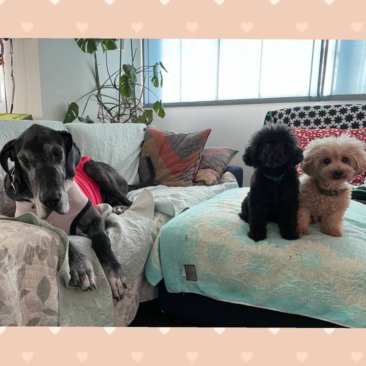 C579f96f 4742 4bb0 b6f6 43ec55122bd9 1632868883262