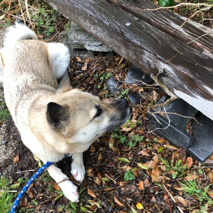 C57a0e17 d6c2 4f62 9c1d 7303d607ddeb 1521441009621