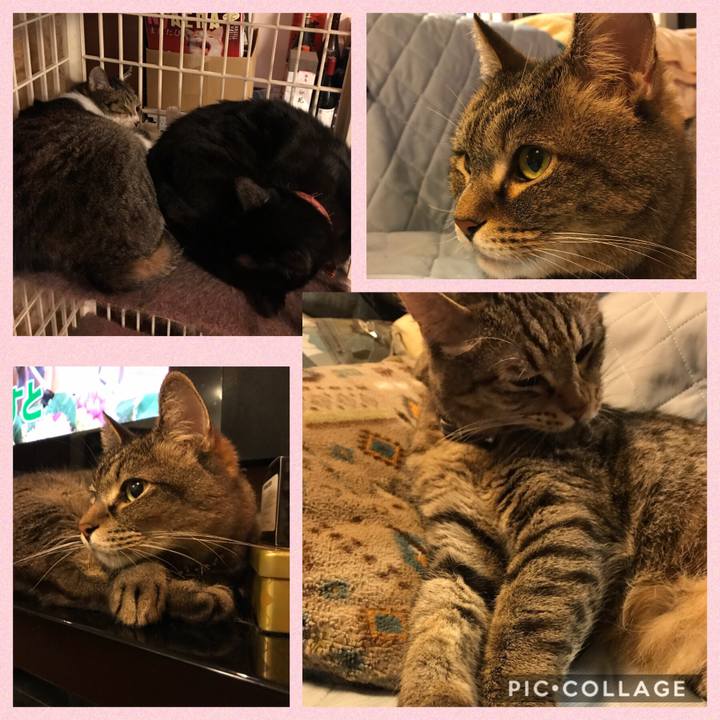 C57a8fb4 6bbe 44b6 80f4 911fbf0235ff 1530624212908