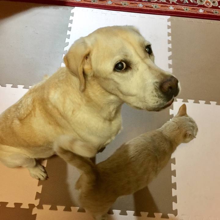 C57b1489 a5d9 4c65 b6c0 cc5683e3a4c7 1538478939132