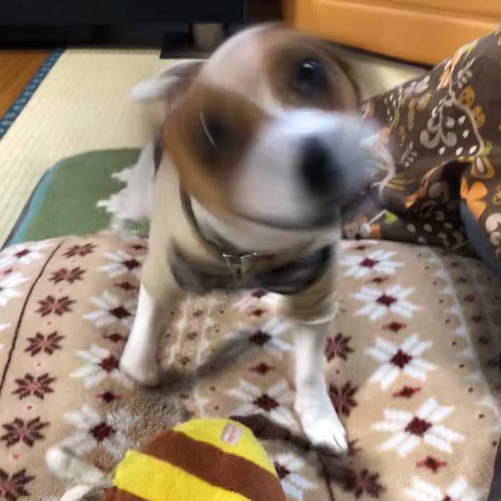 C57b2ac2 7ed2 4df6 8555 6199a3c630a2 1548542734546