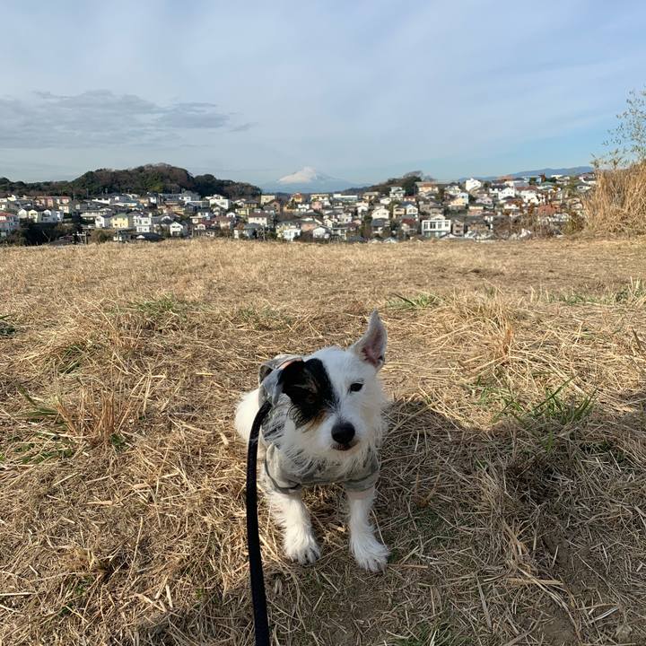 C57b31c2 e4e2 4ef2 b8fe 1e990cb2abed 1672971895303