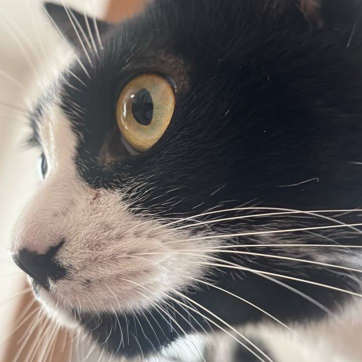 C57b377b 1acc 427c bdc4 6e984aa917c9 1759542406743