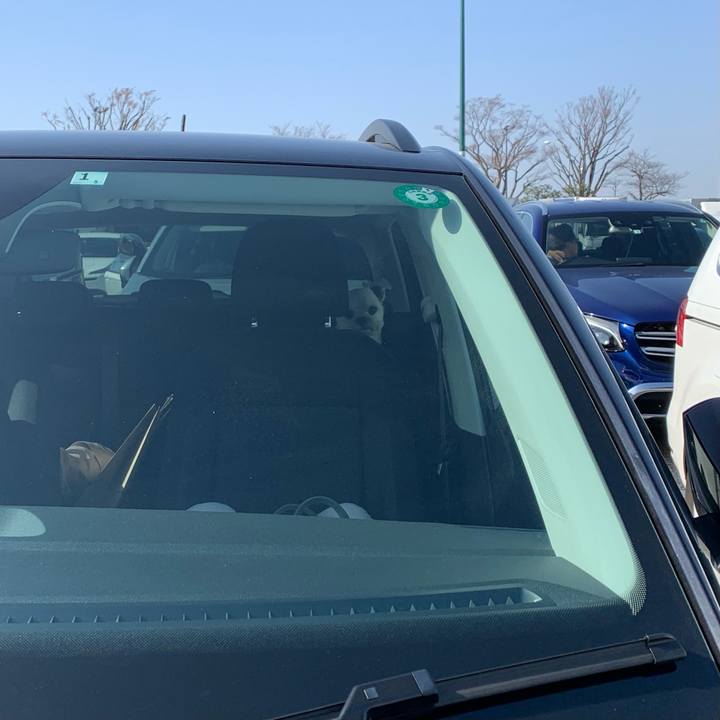 C57b45dd 6463 43b0 854a 6c93891b2b87 1616156840537