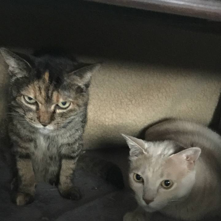 C57b55d6 6727 4fba 805b 260fec65a7a5 1540958419319