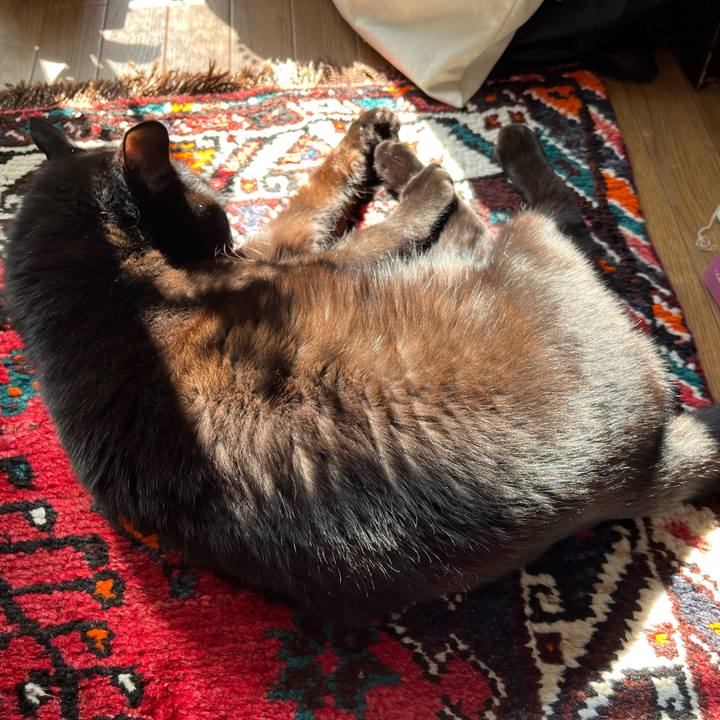 C57ba721 e77c 49d6 889f 9c49c2976e9d 1709542407945