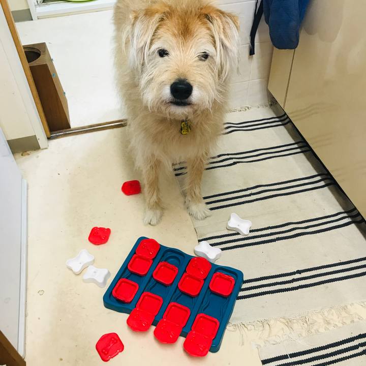 C57ba974 7e4e 4bee a5fb 10bceb9d430d 1590117300119