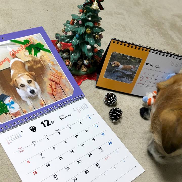 C57bf75a 21b0 449c 97b0 6c4bddd460ce 1576972565665