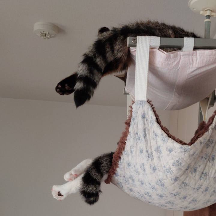 C57c0875 5b7b 4aa6 b13e 45f6d2c9a9ab 1695785666220