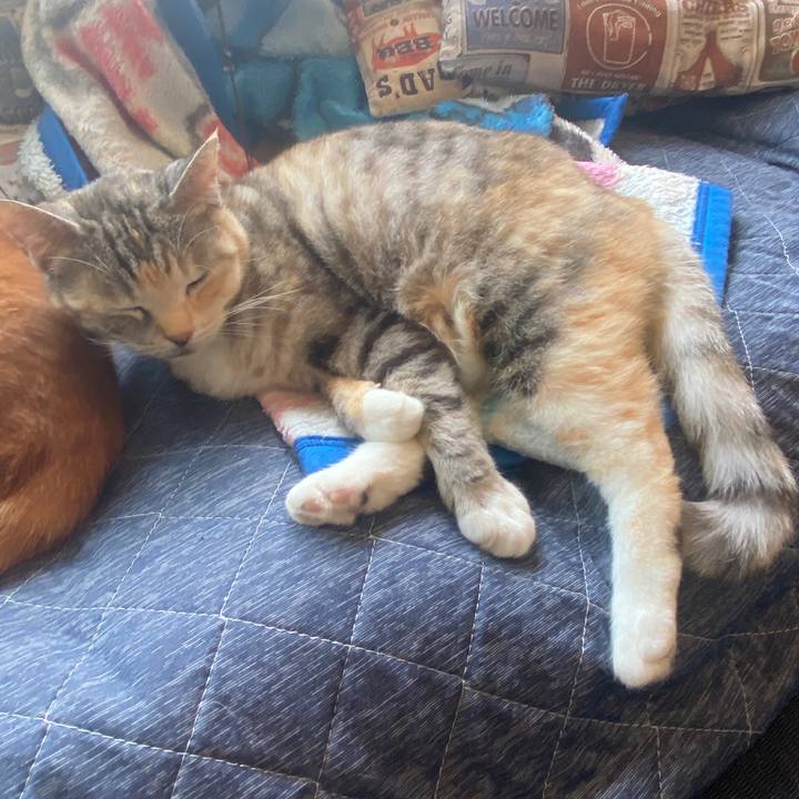 C57c27d0 ff1a 449b b709 1db43529183f 1588381158727