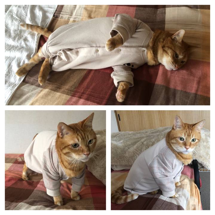 C57c64ab 242b 45d5 b83c 2dfc18d39b11 1682458504878