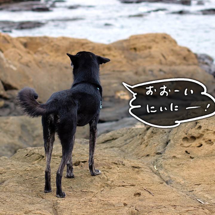 C57ca568 3b1f 4c55 94fe 1340fac5629b 1573728065611