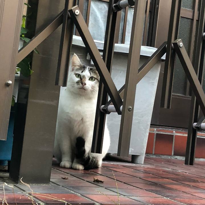 C57ccb74 6ce7 4ab0 84e0 5a3418c26891 1572732192325