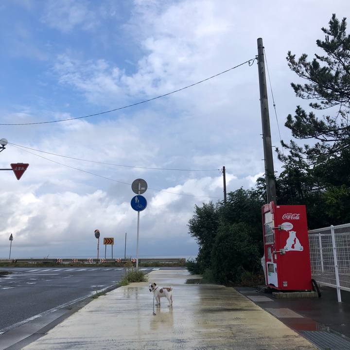 C57cd461 50b4 4223 a1fc b811f6034e42 1599174218131