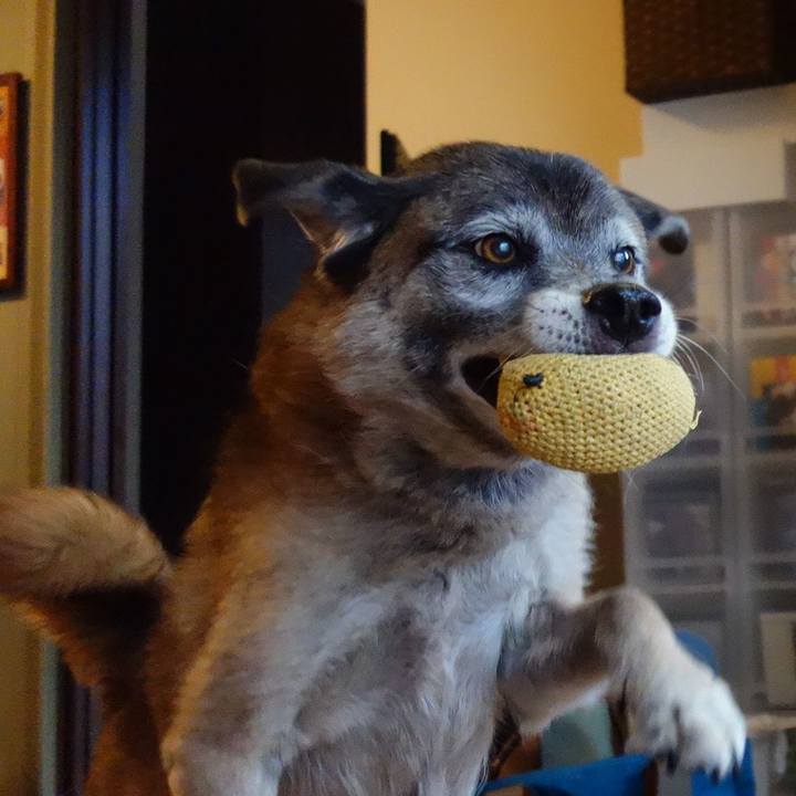 C57d528a e003 48d4 bb88 dc46d973900b 1536367011855