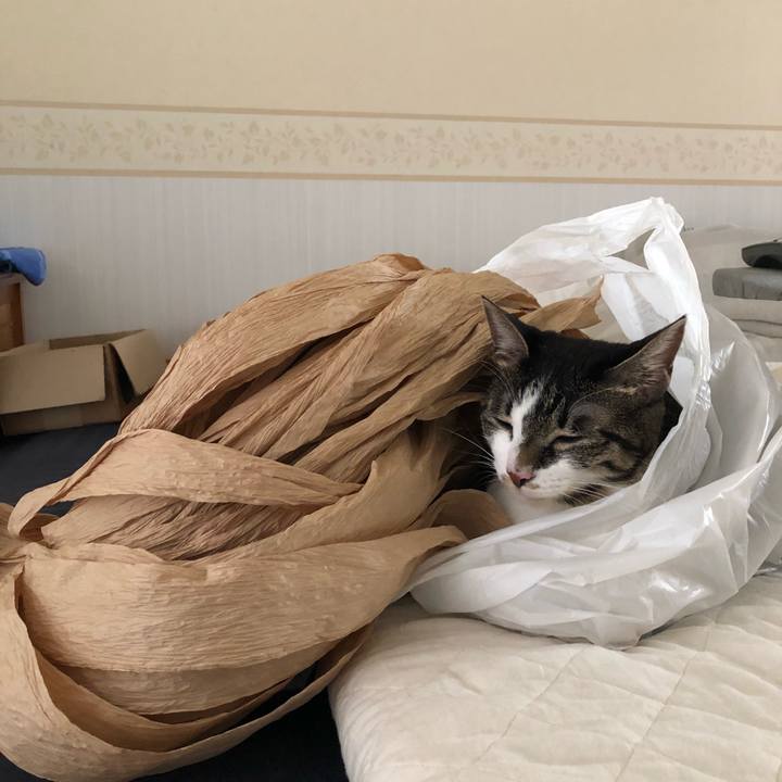 C57db73f 0d4b 4198 bea8 69914ea6b8cb 1533905308699