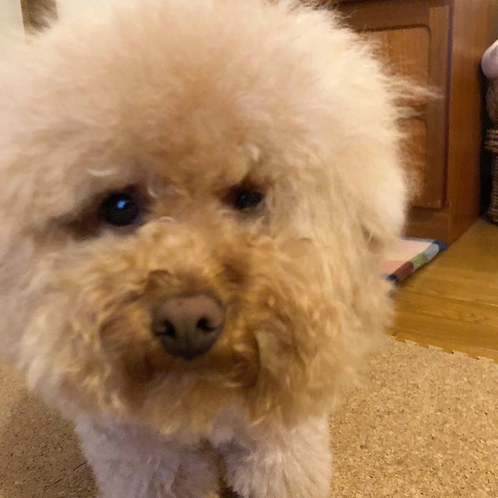 C57dc04e e73f 47ea 8f65 d6b660327208 1528020967752