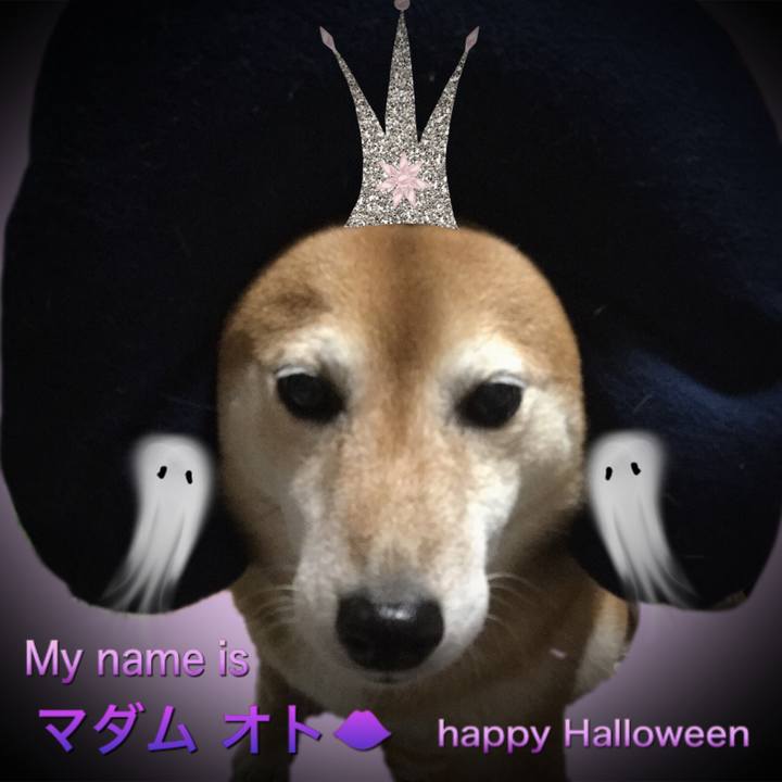 C57dea95 6b8d 4267 bdbc 3b8556845bf9 1604134365250