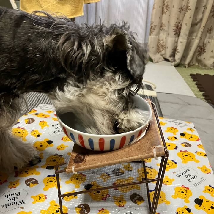 C57def6f bccd 426d 8b50 7f79cd080d6f 1773784756900