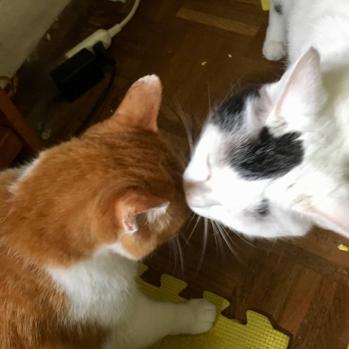 C57e0da0 7f05 434d 9cbd f3fe4b2ee44b 1565258611273