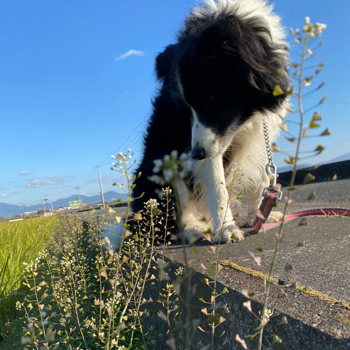 C57e5922 b3cd 44b8 8e18 258c279877e0 1637974458241