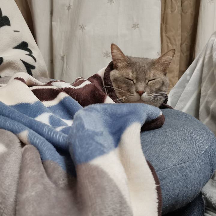 C57e5a38 8c78 444f 9a22 598c70d322dc 1606487859130