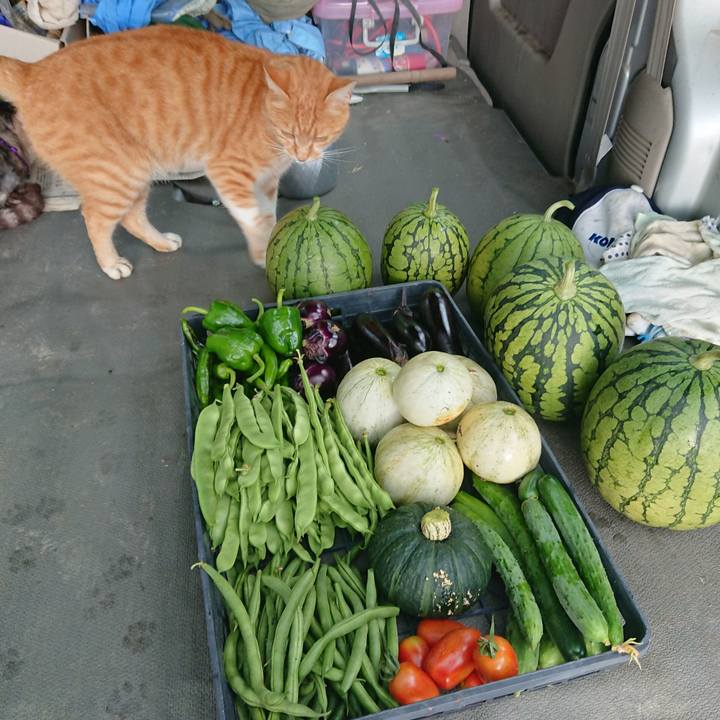 C57e6194 b13c 4526 aa6b 9d835176a4e6 1596244088223