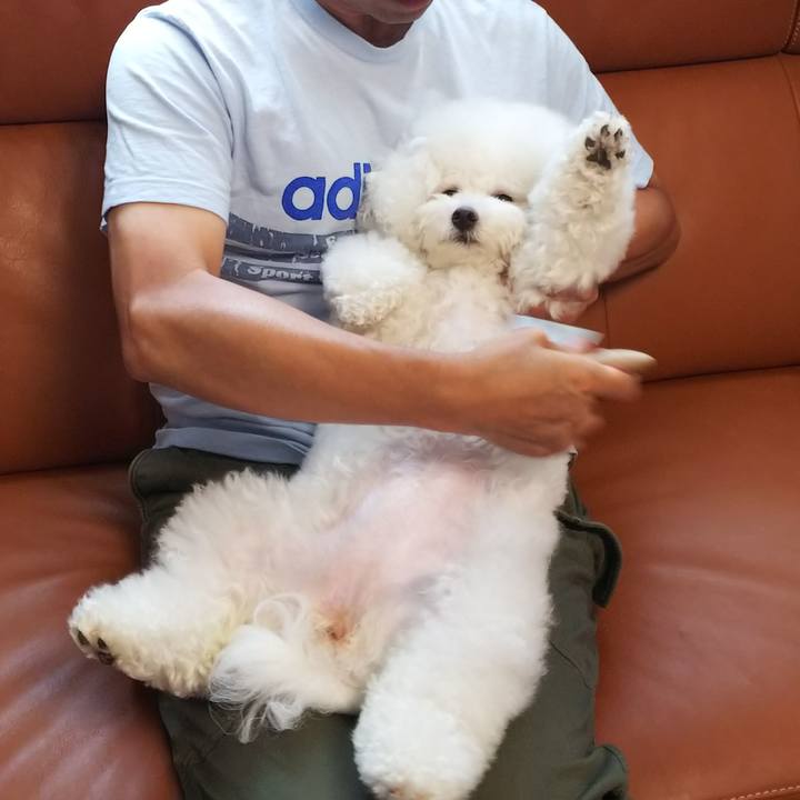 C57e62ae c66c 4cfa 8673 690ae47bf1de 1531638056460