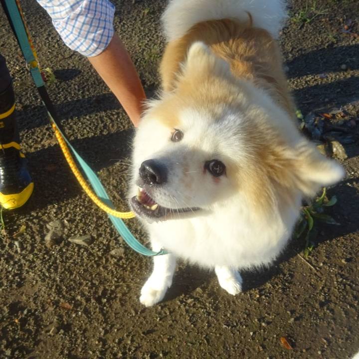 C57e89e7 3e76 41f8 a3e2 fc387b8fe377 1601386137169