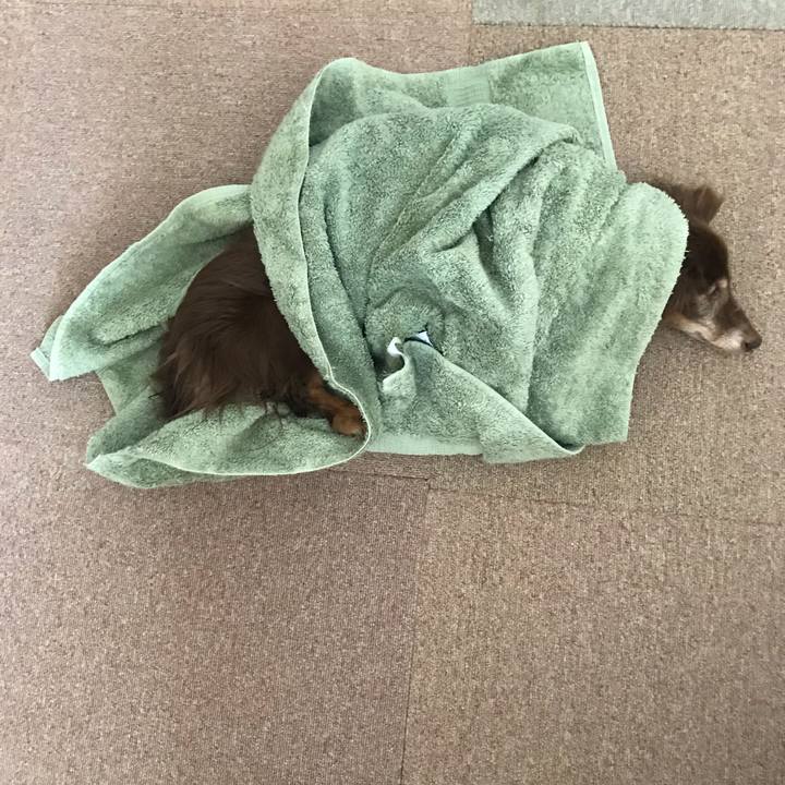 C57e98d0 bc28 42b8 892b de4440347cee 1598337146218