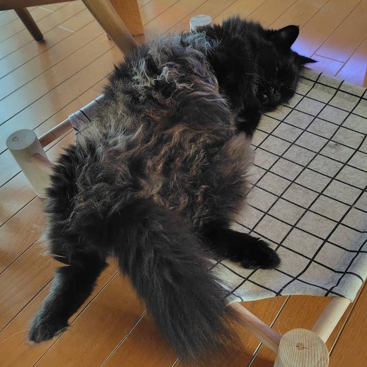 C57eb670 6553 4aab 964f 1c55edd3cb6d 1751100997076