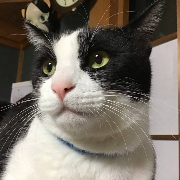 C57eda83 751d 4afa 8bf5 4489573c2caa 1701860035735