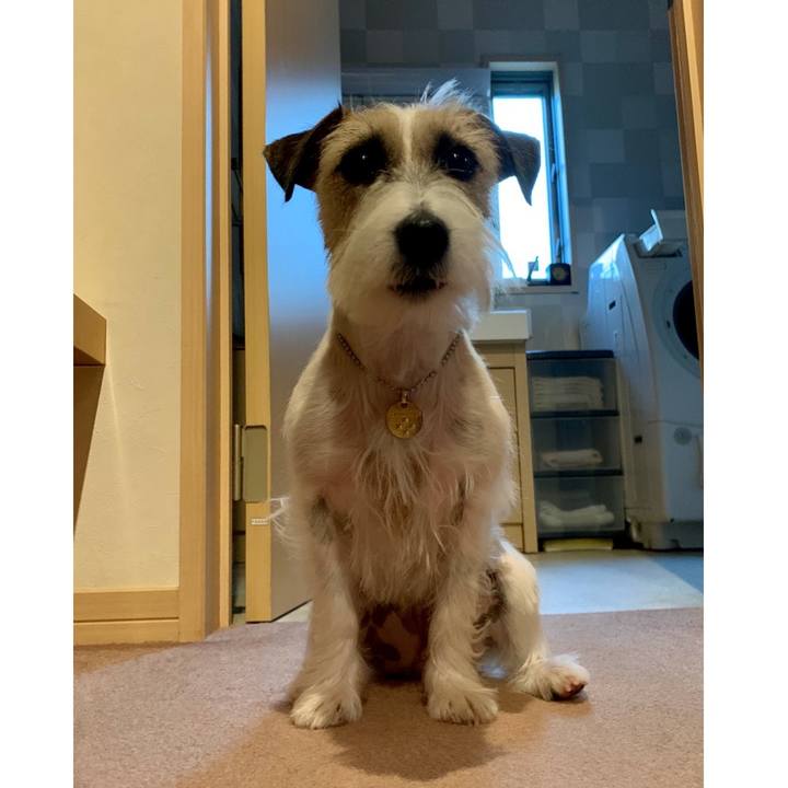 C57ee279 2d6f 456d a6dc f930c363f5cd 1636100740043