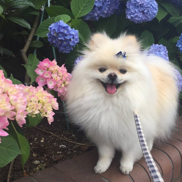 C57f539c da93 424e 9ae6 5ad4fbc82c70 1559364952305