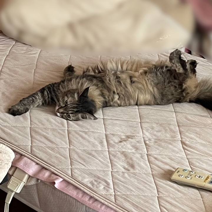 C57f71e6 ae59 492b a3c0 d5f1ba94ab2c 1751185518079