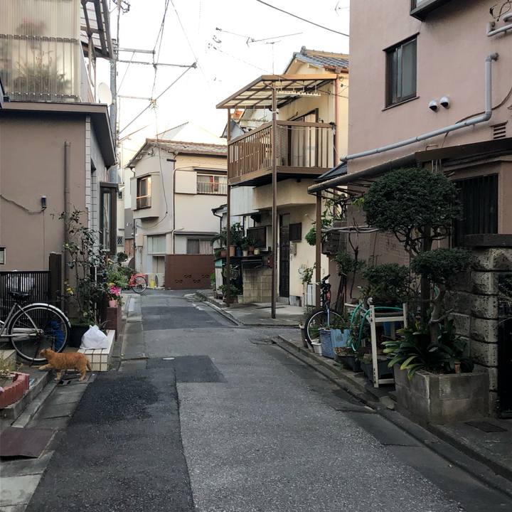 C57f8452 e9d2 4179 85ce 7ffd71e0e83f 1546739774768