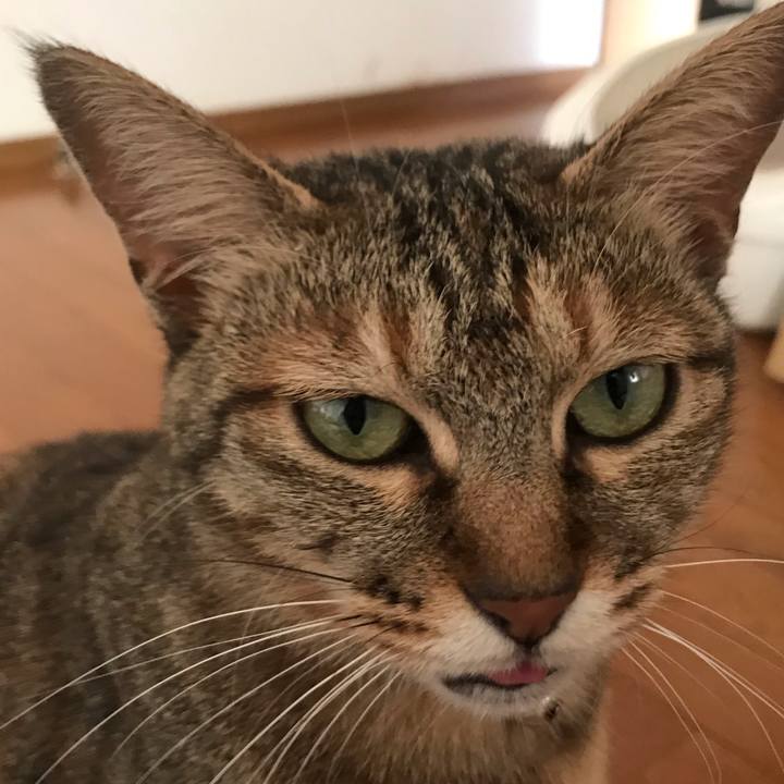 C57ff7ee 63d4 452d 8b13 be5811b10bfc 1586904553408