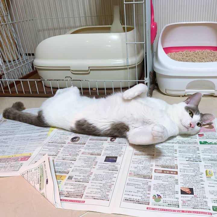 C5800313 0858 4c5c a46f dd5a78f7cbcc 1580563258732